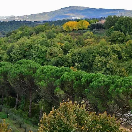 شقة Pieve
